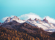 华体会官网入口-官方：若昂·佩德罗对利兹联的挑射当选切尔西2月最佳进球