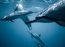 华体会官网入口-分钟计数颠球，现在慢了，最高记录，1分钟246个